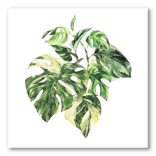 Designart - Tropical Green Leaves In Summer Times I
